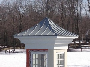 IMG_1232