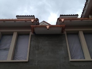 IMG_1590